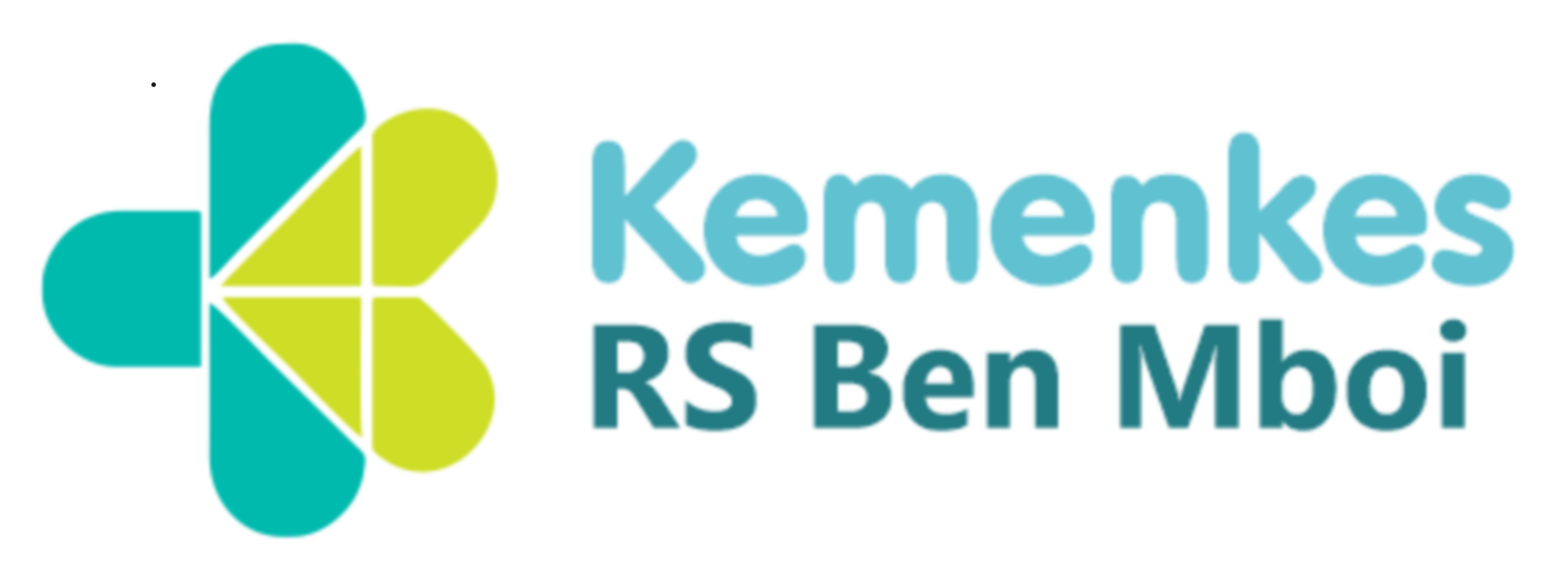 logo RSBM